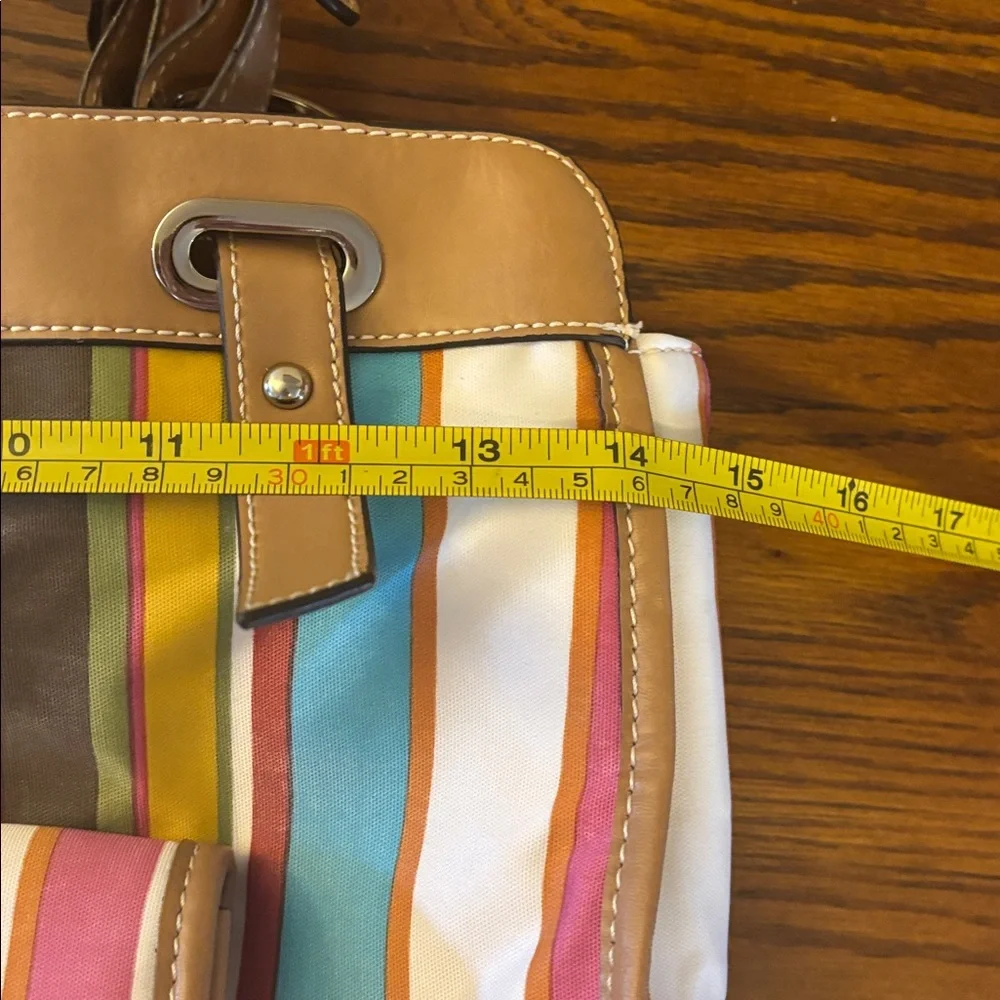 Etienne Aigner Colorful Striped Women's Bag